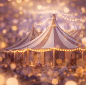 Cirque Nou tent atmosphere